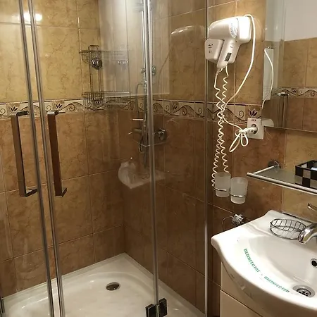 Pensiunea Sofia Pensiune 3*