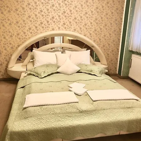 Pensiunea Sofia بيت ضيافة تيميشورا