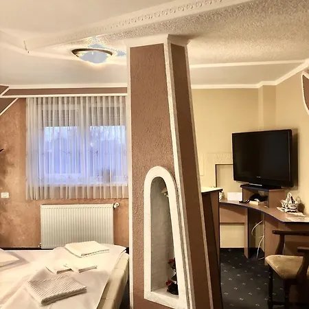 Pensiunea Sofia 3*