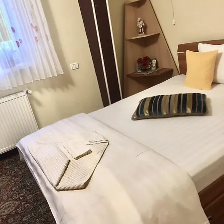 Pensiunea Sofia بيت ضيافة