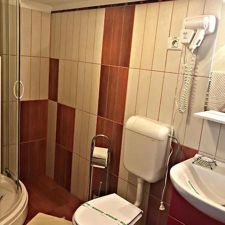 Pensiunea Sofia 3* تيميشورا