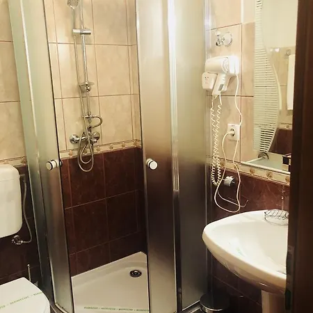 بيت ضيافة Pensiunea Sofia 3*