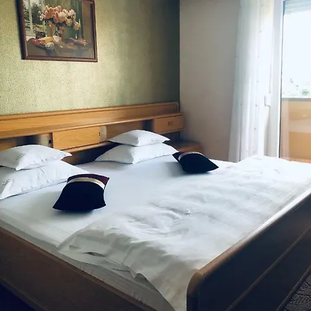 بيت ضيافة Pensiunea Sofia تيميشورا