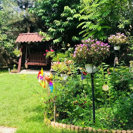 Pensiunea Sofia بيت ضيافة تيميشورا