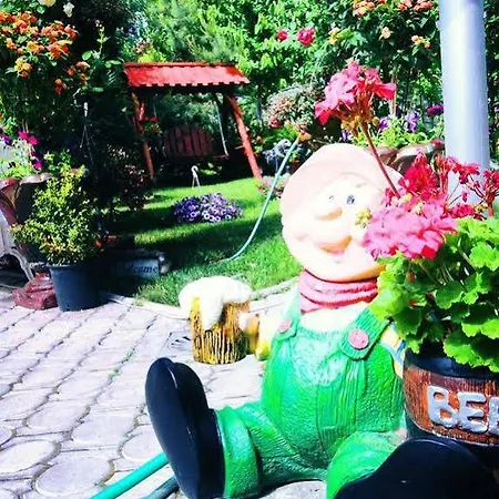 بيت ضيافة Pensiunea Sofia تيميشورا