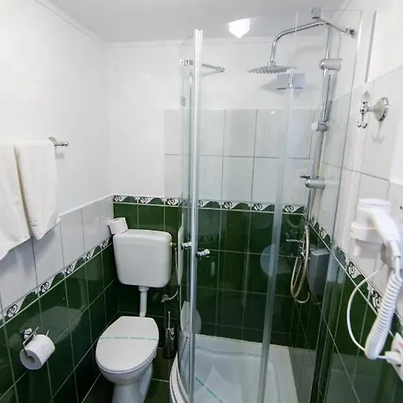 Pensiunea Sofia 3* تيميشورا