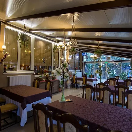 Pensiunea Sofia تيميشورا