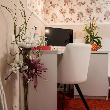 Pensiunea Sofia تيميشورا