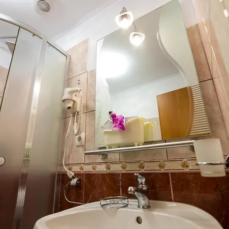 Pensiunea Sofia 3*