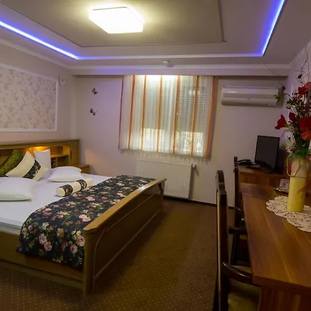 Pensiunea Sofia بيت ضيافة تيميشورا