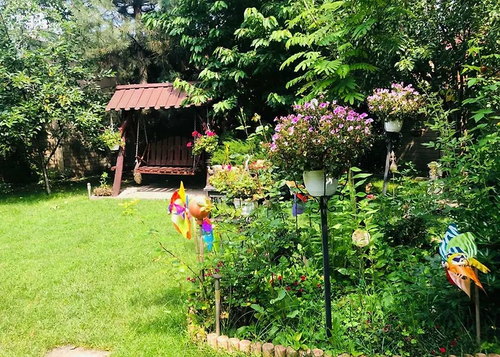 Pensiunea Sofia Πανσιόν Τιμισοάρα