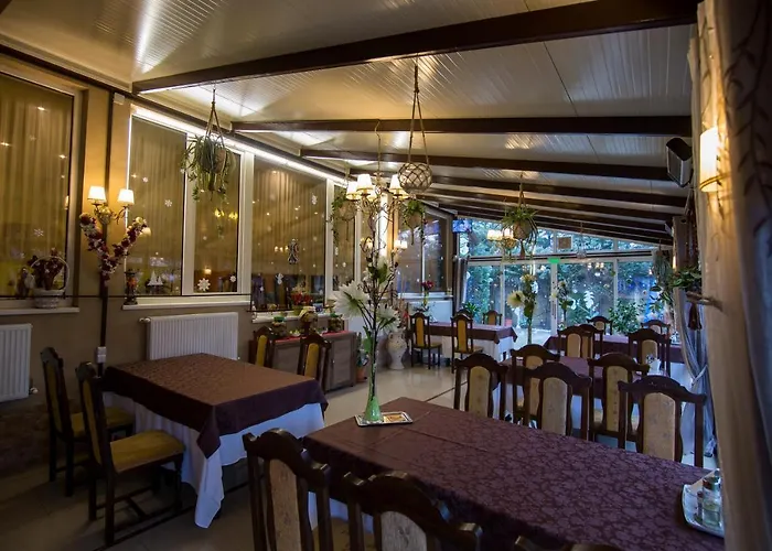 Pensiunea Sofia Τιμισοάρα