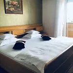 Guest house Pensiunea Sofia Timisoara