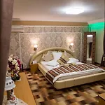Guest house Pensiunea Sofia