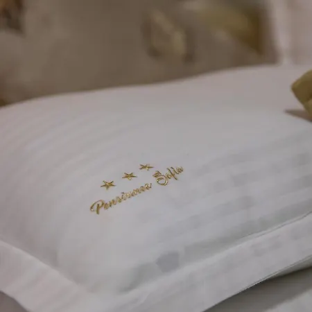 Pensiunea Sofia Timişoara