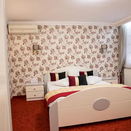 Pensiunea Sofia 3*