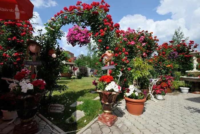 Gasthuis Pensiunea Sofia