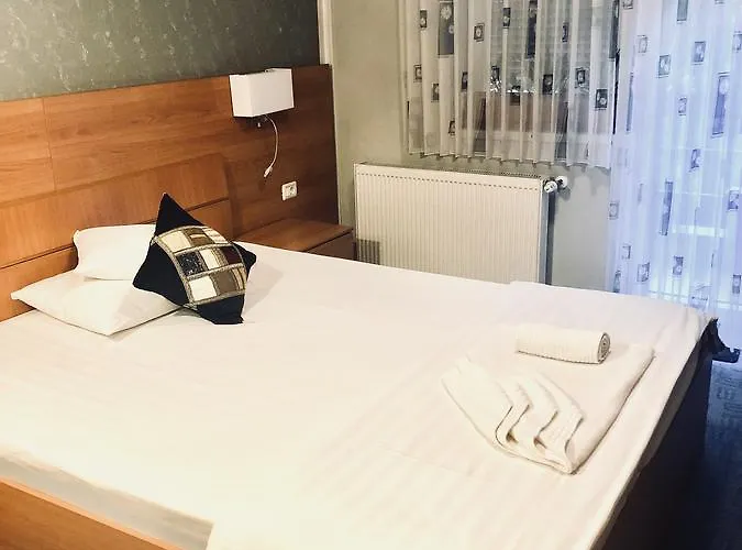 Pensiunea Sofia Gasthuis 3*