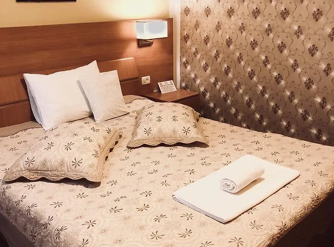 Gasthuis Pensiunea Sofia Timişoara