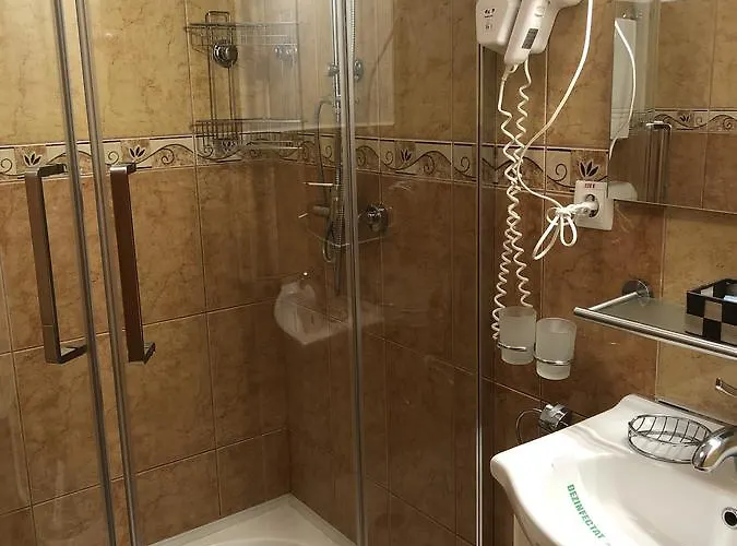 Pensiunea Sofia Gasthuis 3*