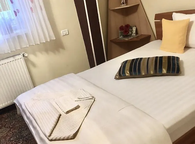 Pensiunea Sofia Gasthuis