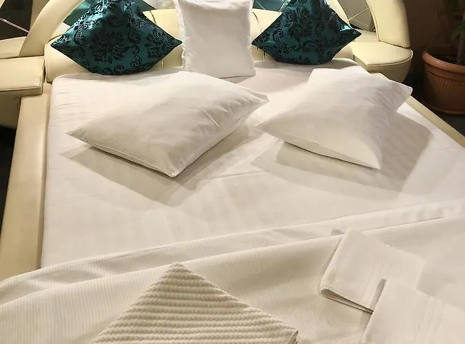 Pensiunea Sofia 3* Timişoara