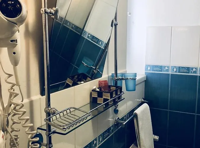 Gasthuis Pensiunea Sofia 3*