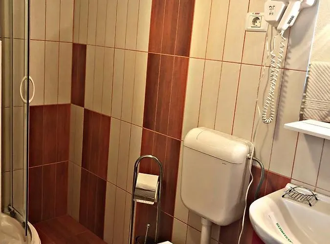 Pensiunea Sofia 3* Timişoara