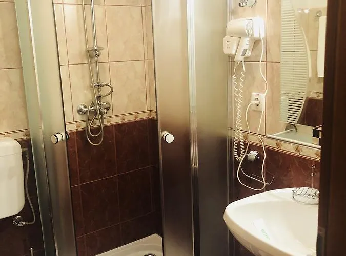 Gasthuis Pensiunea Sofia 3*