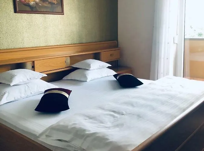 Gasthuis Pensiunea Sofia Timişoara