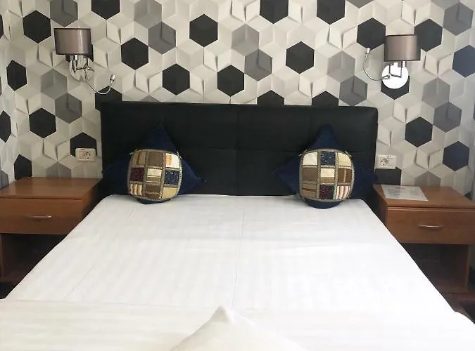 Gasthuis Pensiunea Sofia Timişoara