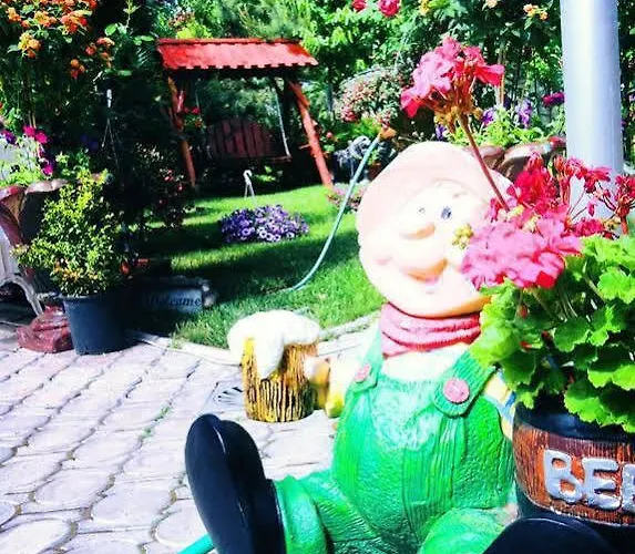 Gasthuis Pensiunea Sofia Timişoara