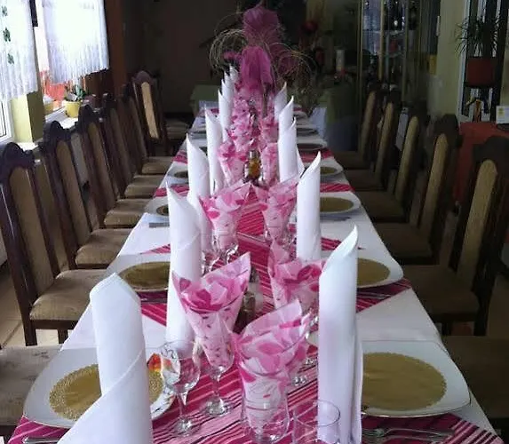 Gasthuis Pensiunea Sofia 3*