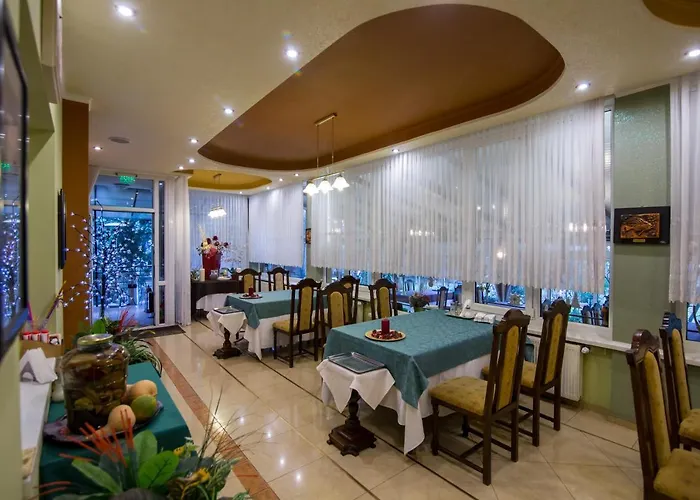 Pensiunea Sofia Timişoara