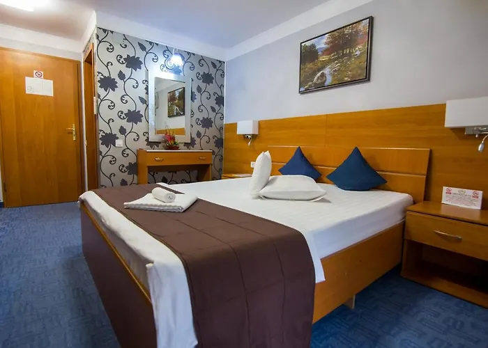 Pensiunea Sofia 3* Timişoara