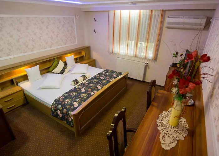 Gasthuis Pensiunea Sofia 3*