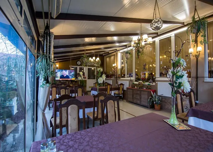 Pensiunea Sofia Timişoara