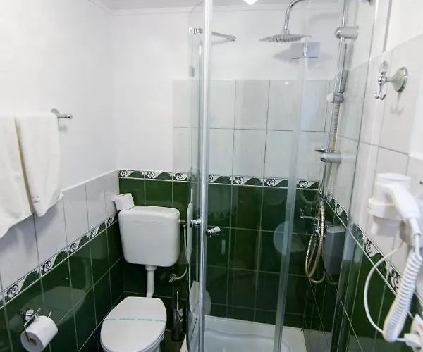 Pensiunea Sofia 3* Timişoara