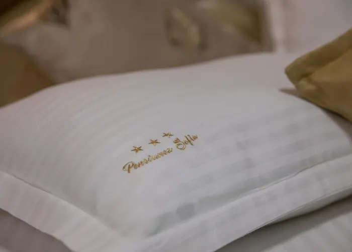 Pensiunea Sofia Timişoara