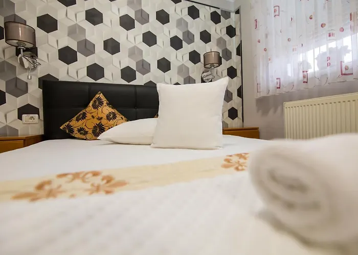 Gasthuis Pensiunea Sofia 3*