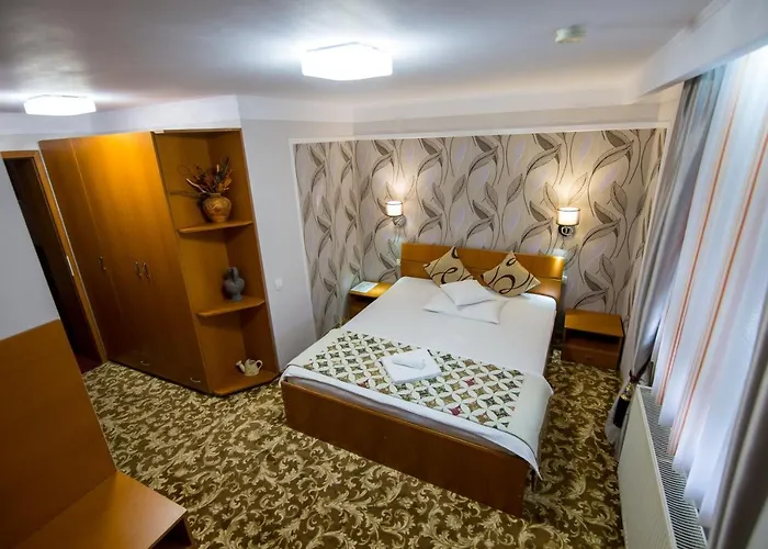 Pensiunea Sofia 3* Timişoara