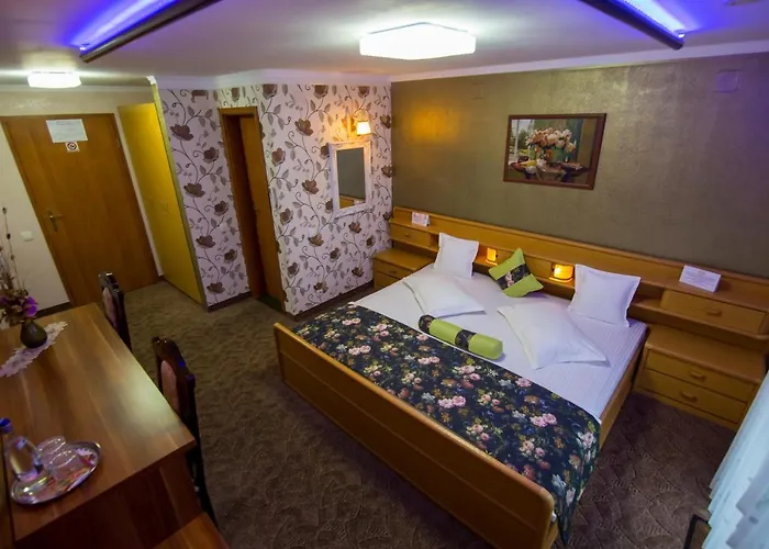 Gasthuis Pensiunea Sofia 3*