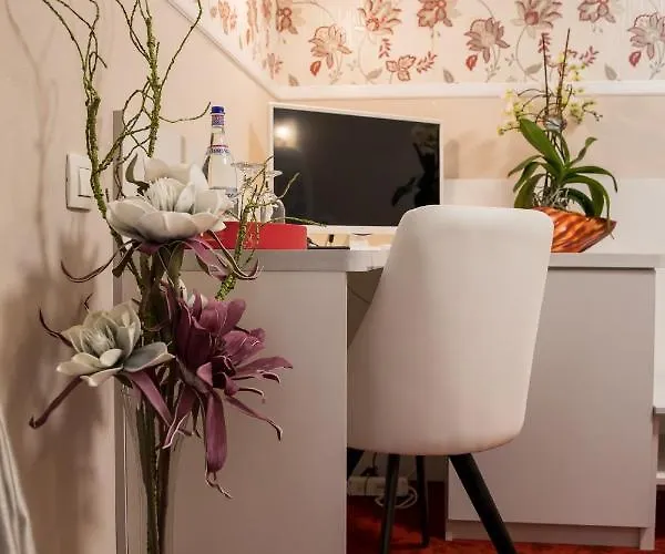 Pensiunea Sofia Timişoara