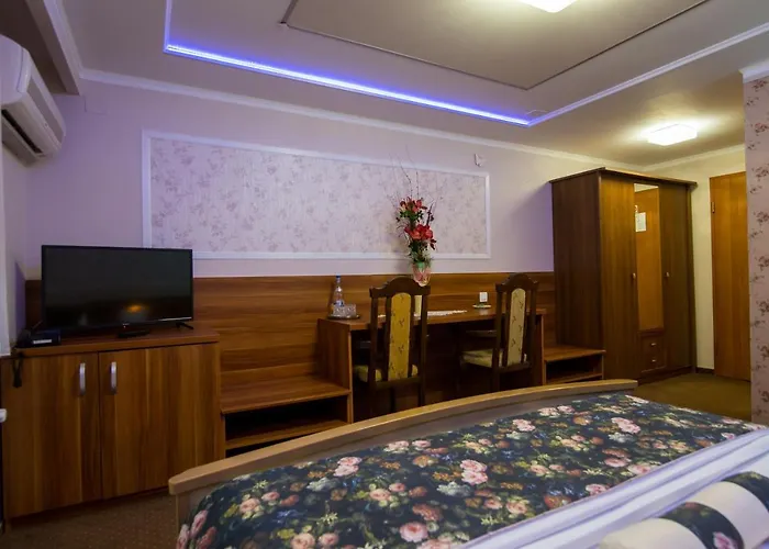 Pensiunea Sofia Gasthuis Timişoara