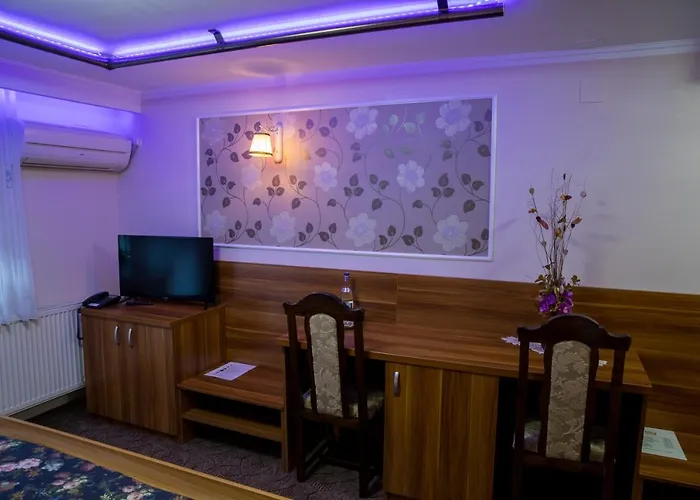 Gasthuis Pensiunea Sofia Timişoara