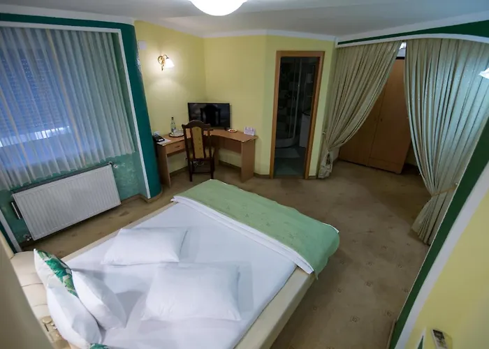 Pensiunea Sofia Timişoara