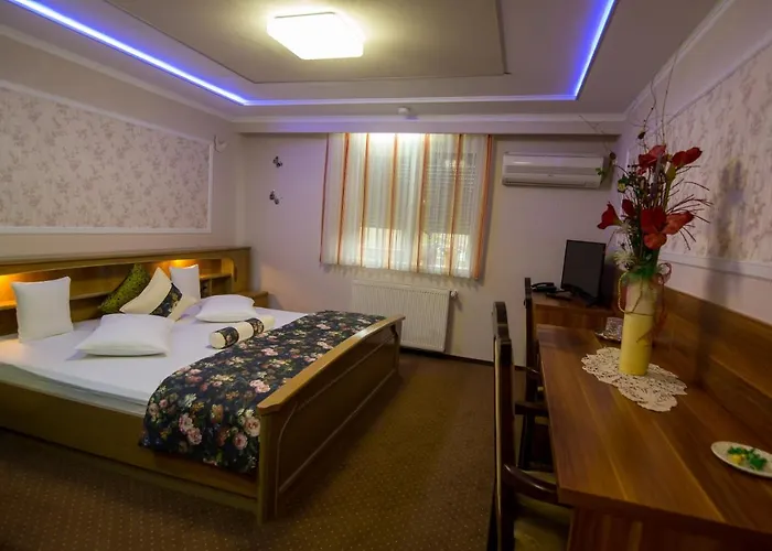 Pensiunea Sofia Gasthuis Timişoara