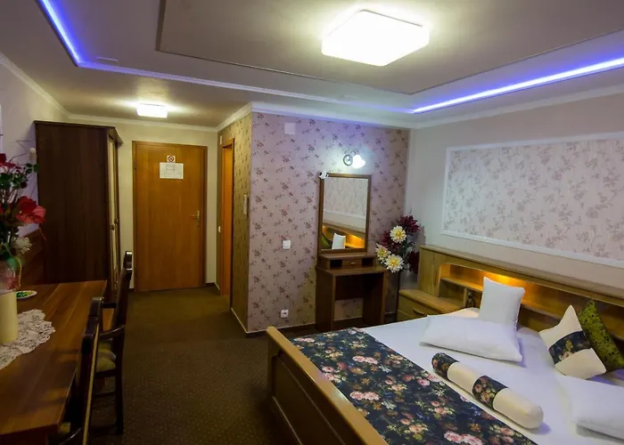 Gasthuis Pensiunea Sofia